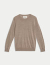 Pure Merino Wool Crew Neck Jumper