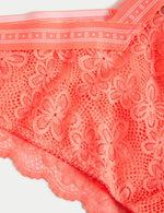 Cleo Lace Miami Knickers