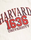 Pure Cotton Harvard Slogan T-Shirt (6-16 Yrs)