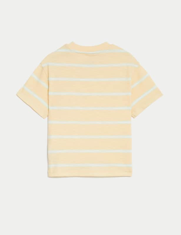 Pure Cotton Striped T-Shirt (2-8 Yrs)