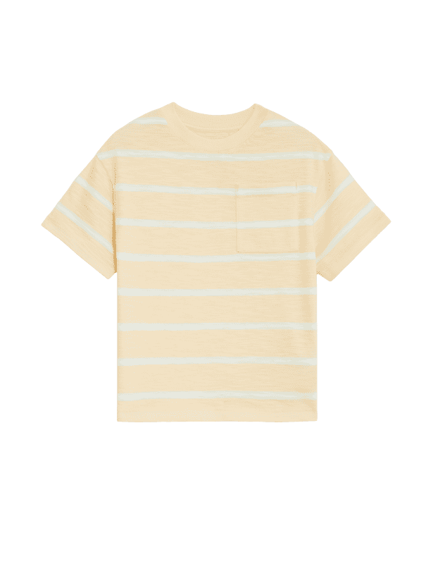 Pure Cotton Striped T-Shirt (2-8 Yrs)