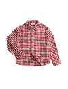 Pure Cotton Checked Shirt (2-8 Yrs)