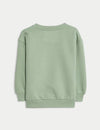 Cotton Rich Graphic Sweatshirt (2-8 Yrs)